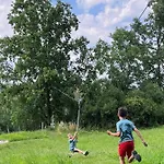 Oak *