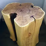 Oak 公寓