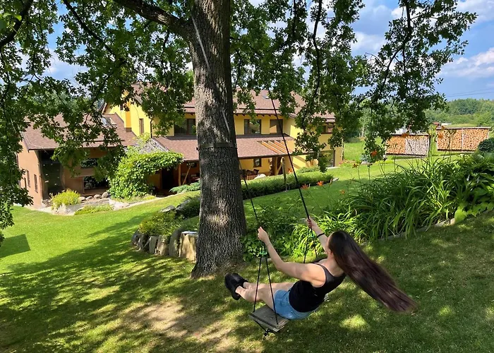 Oak Březnice